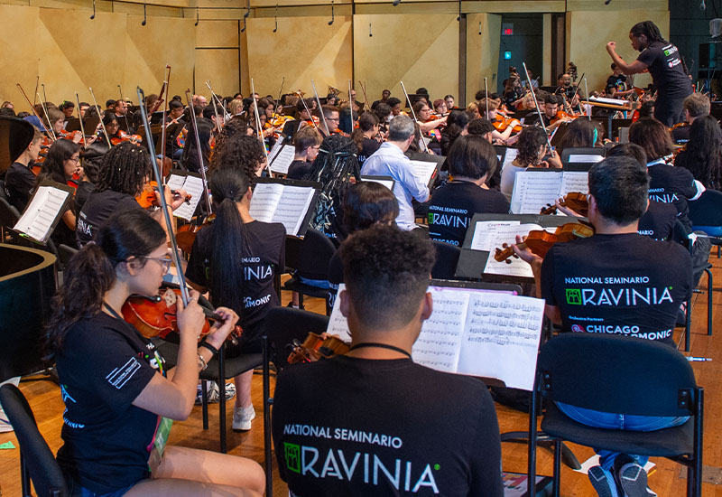 Reach Teach Play 'National Seminario' El Sistema-inspired program